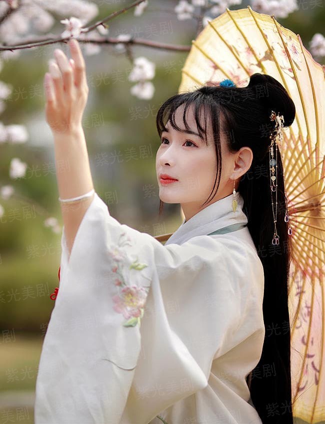 同妻夫人